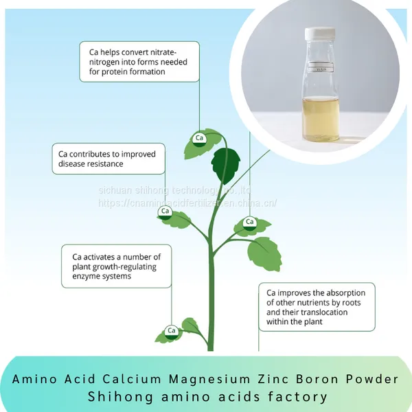 Calcium Magnesium Zinc Boron Amino Acid Chelated Mineral Fertilizer for Bananas Apple Grape Mango