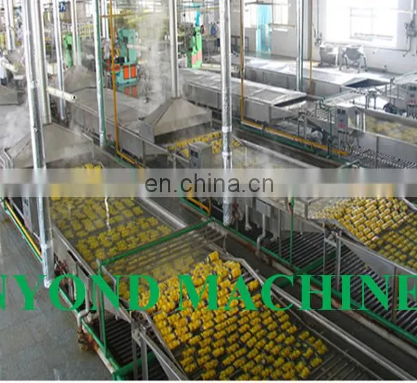 Canned Fruit Cocktail Processing Production Line photo-2
