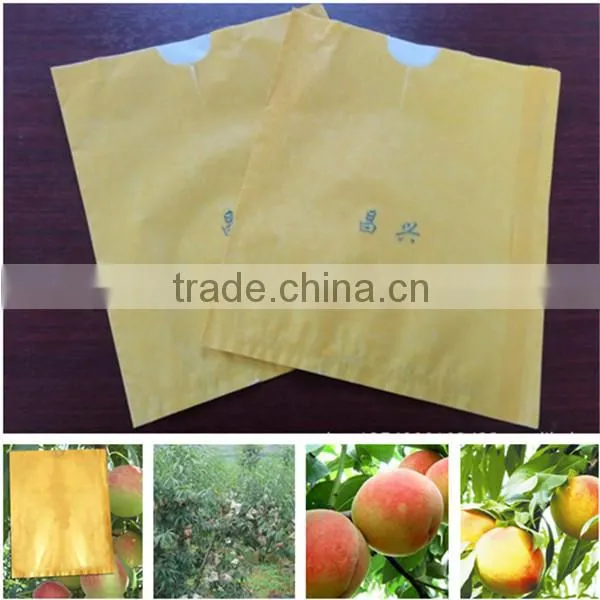 Fruit Growing Wrapping Paper Bags