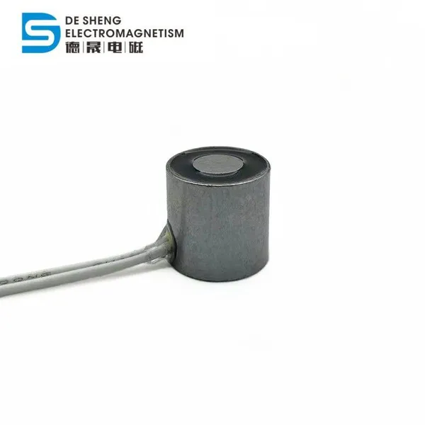 DS-1212 10N Force Micro Circular Electromagnet Solenoid Electromagnet DC 24V Lifting Electromagnet