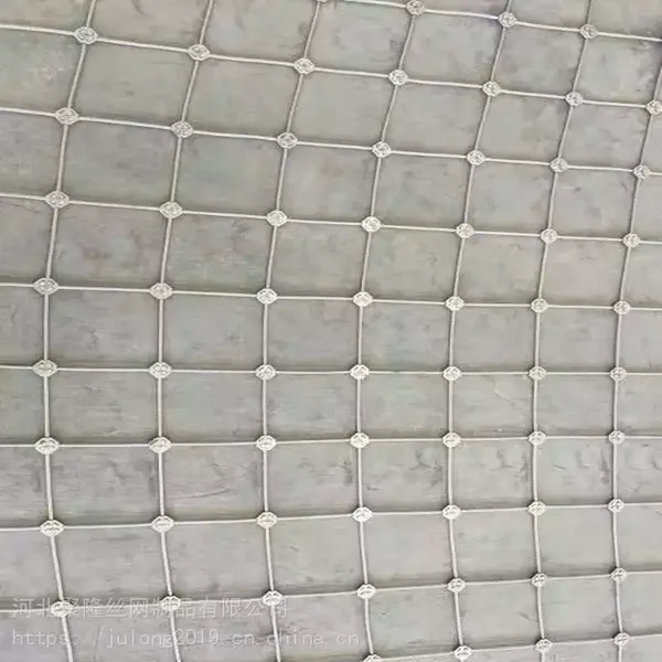 Flexible Stainless Steel Wire Rope Mesh for Aviary Netting photo-3