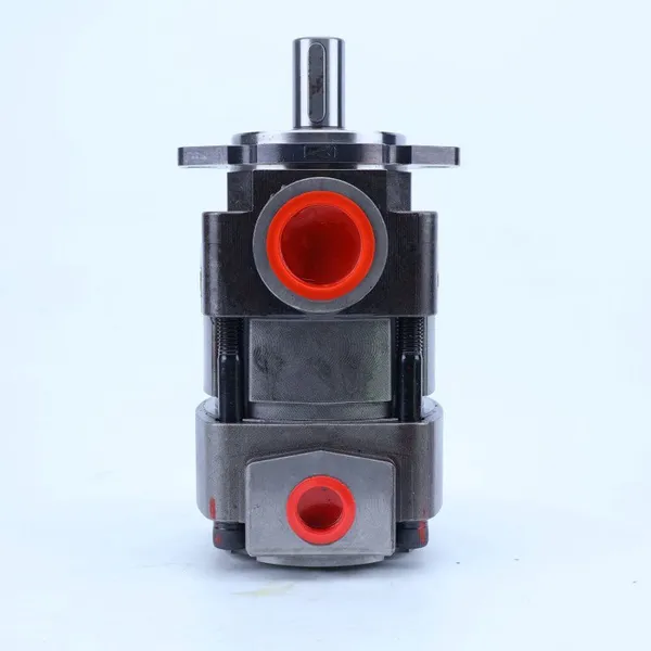 Good Quality Internal Gear Pump QX23-005R-0 Gear Pump for Oil QX23-006R-O QX31-025/33-016R QX46-032R QX81-400R301 photo-3