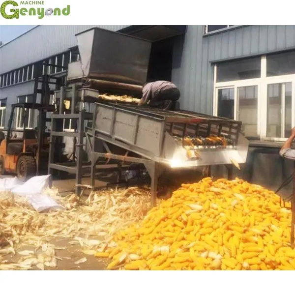 Genyond Factory Food Processing Industrial Sweet Corn Peeling Machine photo-5