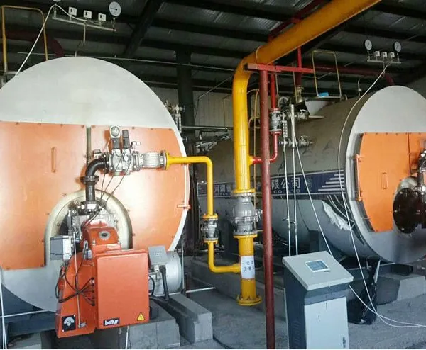 Energy Saving and Environmentally Friendly 8-ton Boiler for Drying Rehmannia Medicinal Herbs, Steam Boiler for Processing, Steam Boiler