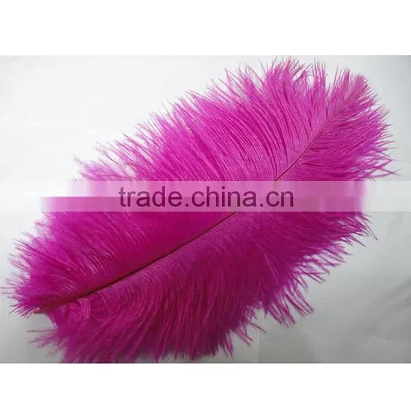 High Quality Real Natural Ostrich Feathers, Decorative Feathers Wholesale photo-2
