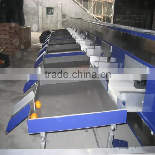 Electronic fruit sorting machine