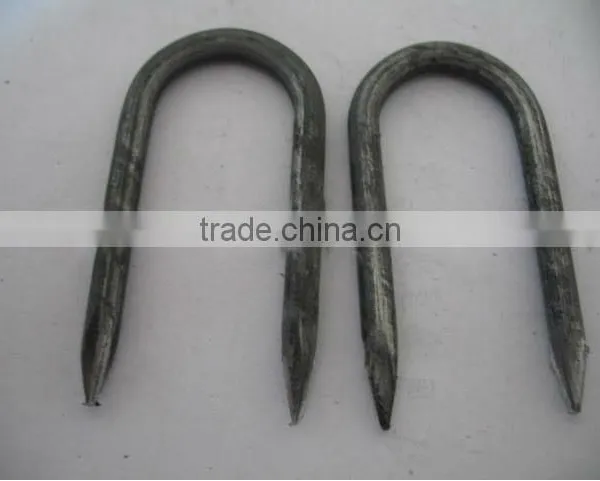 Hot-dipped Galvanized Fence Staples / U-Nails/ U Type Nails photo-4