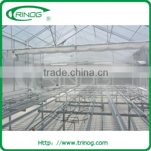 Polycarbonate Multi Span Greenhouse