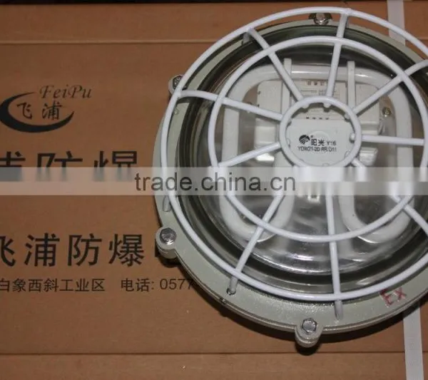 Ccd96 Explosion Proof Maintenance Free Energy Saving Lighting photo-4