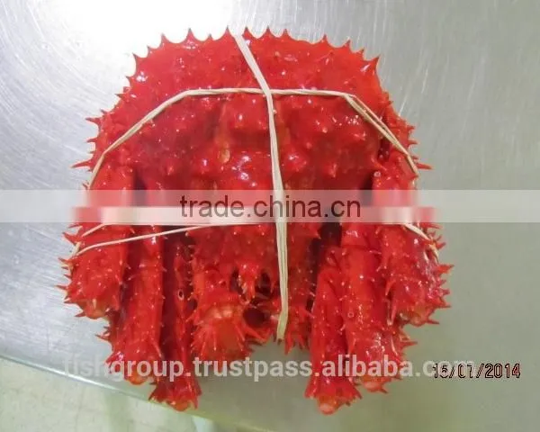 KING CRAB WHOLE photo-2