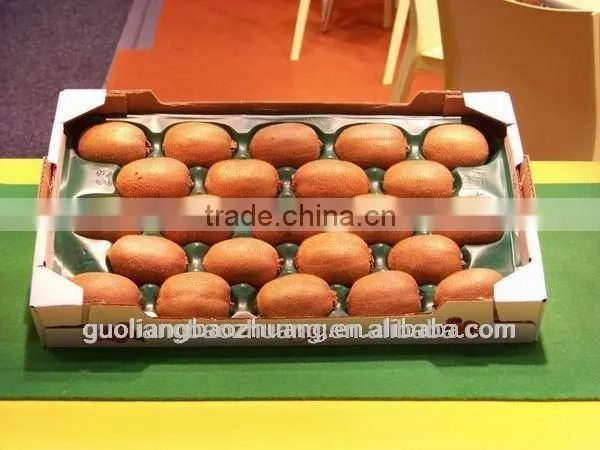 pp Fruit Tray