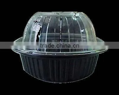 pp Cake Case Thermoforming Machine photo-2