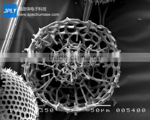 Application Images of USB3.0 Industrial Inspection&Microscopic Observation Camera photo-3