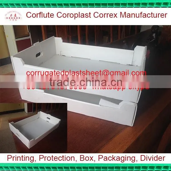 pp Correx Stackable Plastic Box photo-2