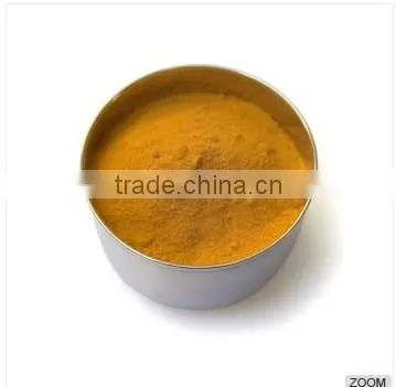 Pure Turmeric Powder From India photo-4