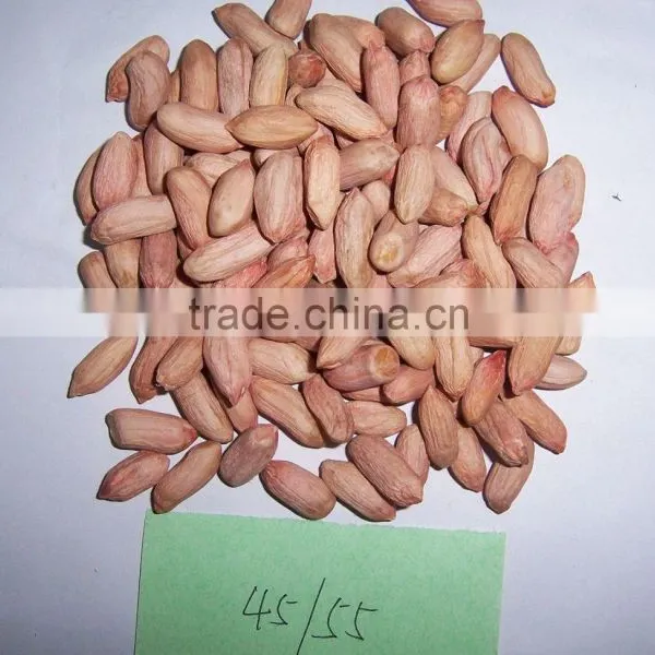 2015 New Peanut Kernel With Whole Price photo-4