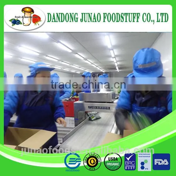 IQF Frozen Broccoli Wholesale Price photo-3
