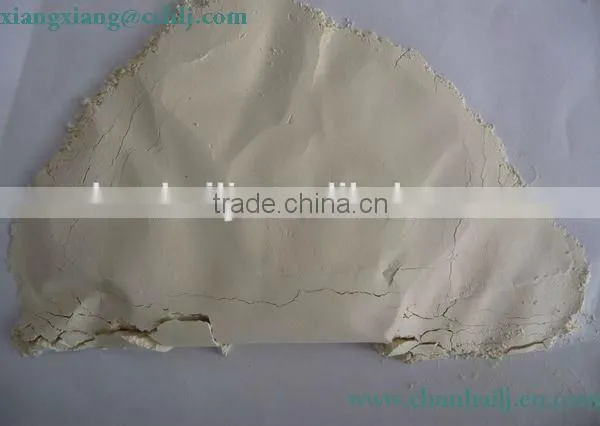 Chinese Exported Peeled Garlic photo-2
