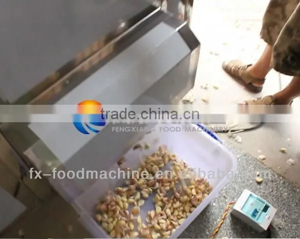 FX-139 Garlic Bulb Breaking Machine Garlic Devider Deviding Machine photo-3