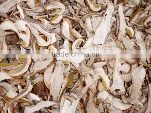 Delicious Dried Yellow Boletus Price photo-5