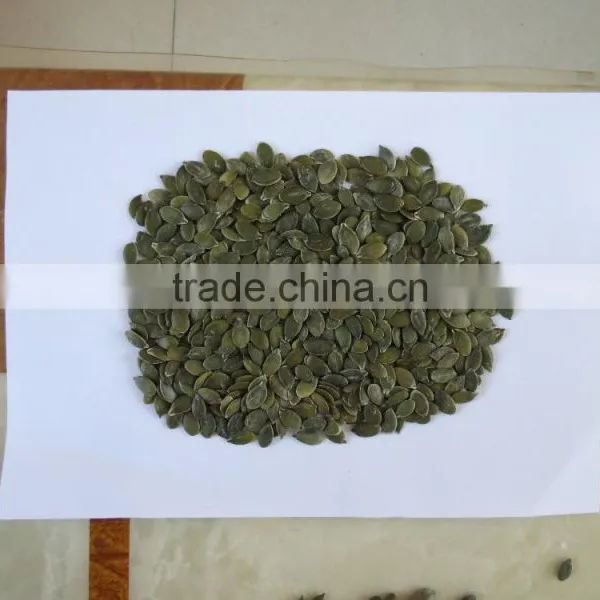 China Pumpkin Seeds GWS Grade AA photo-6