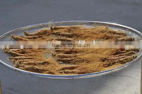 Panax Ginseng Powder photo-5