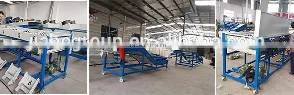 Garlic /Vegetable and Fruit Cleaning and Grading/Sorting Machine photo-5