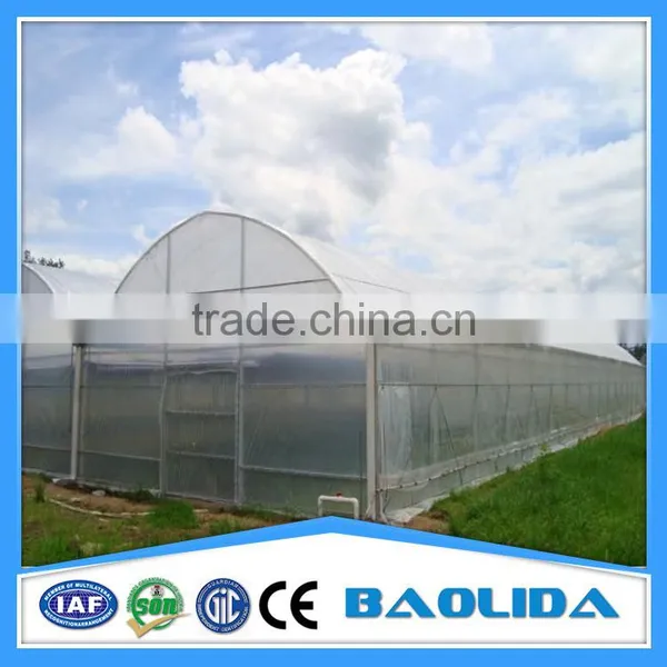 Agricultural Plastic Green House For Sale photo-5