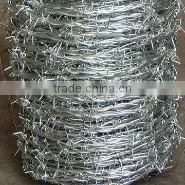 Good Quality and Hot Sales Barbed Wire photo-2