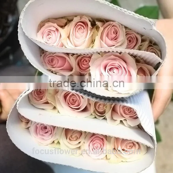 Natural Rose Flowers/Fresh Cut Flowers Rose for Wedding photo-6