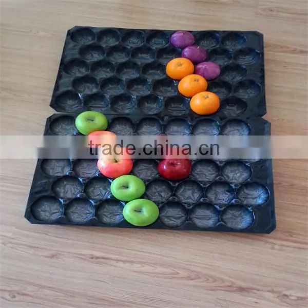 Made in China Fresh Produce Packaging Mango Pomegranate Melons Plastic PP Trays photo-5
