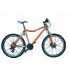 Mountain Bicycle