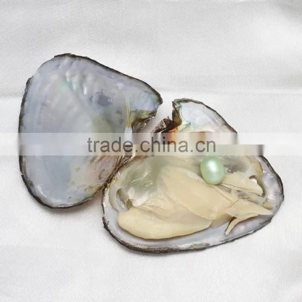 Raw Pearls Freshwater Cultured Love Wish 7.5-8mm Rice Pearl Oyster photo-5