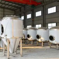 Fermentor