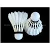 Shuttlecock Kicking|shuttlecock Uk|shuttlecock Brand|shuttlecock Singapore|shuttlecock Factory|shuttlecock Icon|shuttlecock Price Malaysia|shuttlecock Yonex|shuttlecock Foot|shuttlecock Speed photo-3