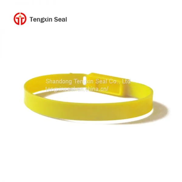 TX-PS406 Professional Quality Consistent Fire Extinguisher Plastic Strap Seals