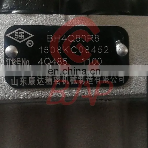 Genuine Injection Pump BH4Q80R8 4Q485 for 4100 4102 Engine photo-2