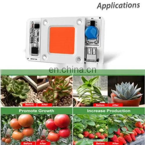 110V 220V Driverless Solderless Full Spectrum White Warm White Cob 50w Led Chip photo-6
