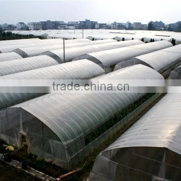 Single Span Commercial Greenhouse for Flowers and Vegetables photo-2