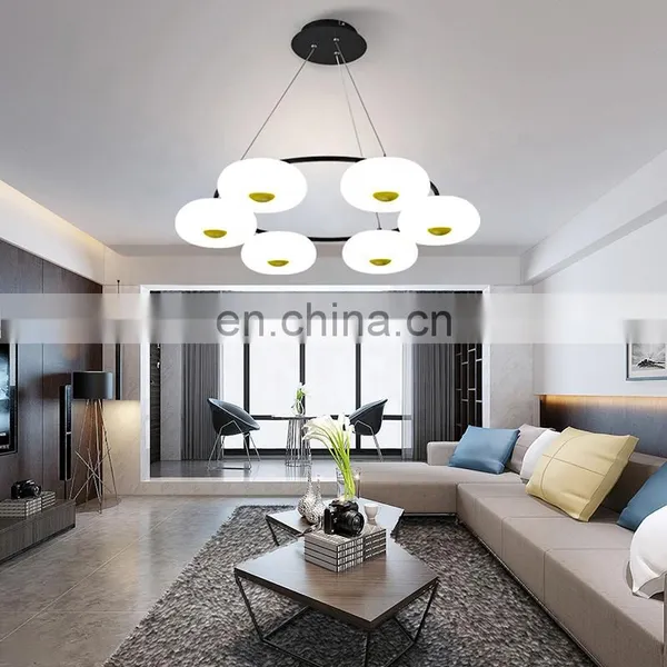 Home Hotel Decor Pendant Lamp photo-4