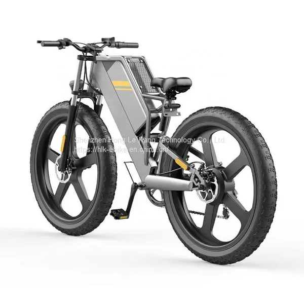 H-18 Cross-coutry Electric Bike Off-Road Electric Bike Wholesale Chinese Electric Bike Factories photo-3