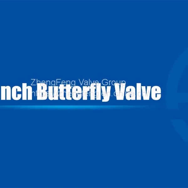 3 Inch Butterfly Valve