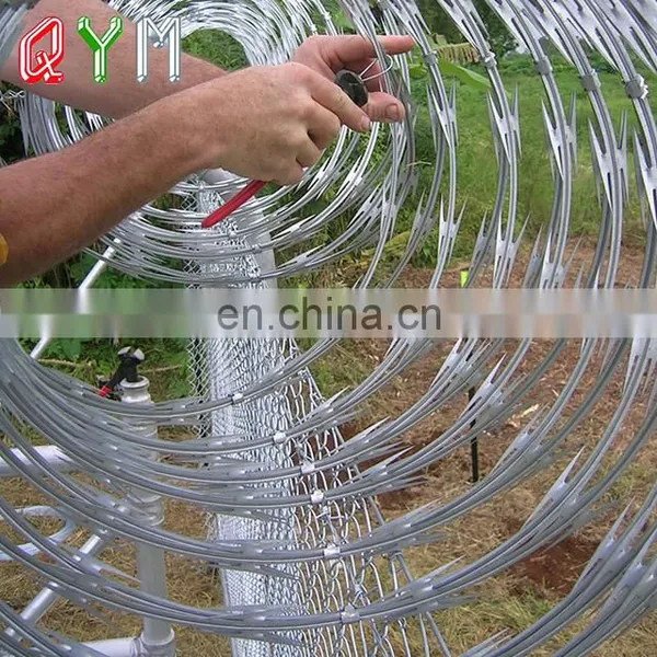 BTO Airport Fence Concertina Razor Barbed Wire photo-2