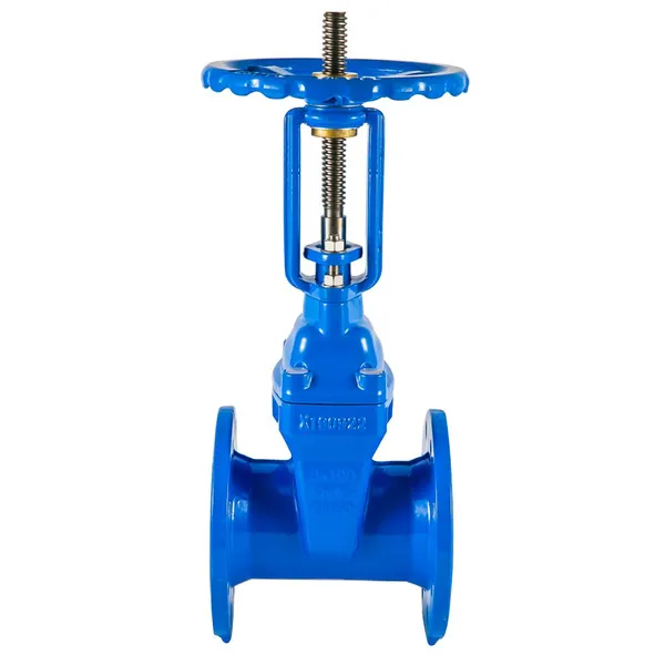 Resilient Seated Gate Valve for Municipal Water Treatment Plants With MTR photo-3