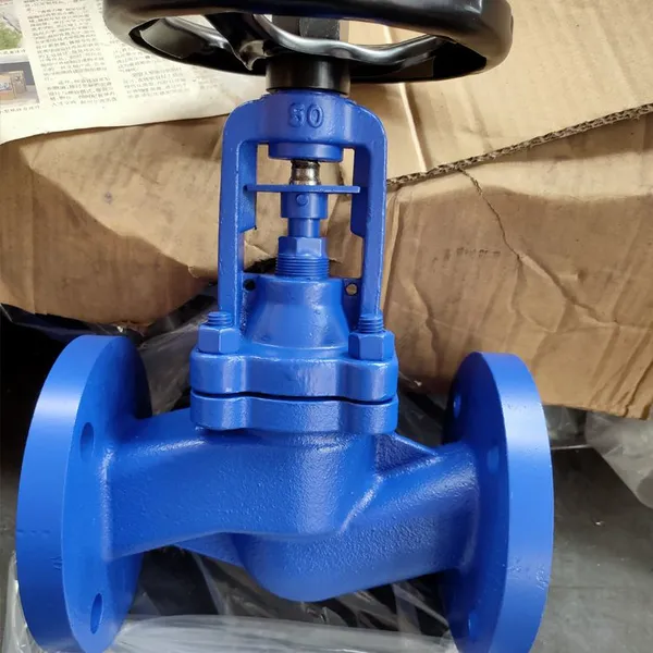 DIN Standard Bellows Seal PTFE Lined DN150 PN16 Cast Iron Globe Valve for Steam photo-4