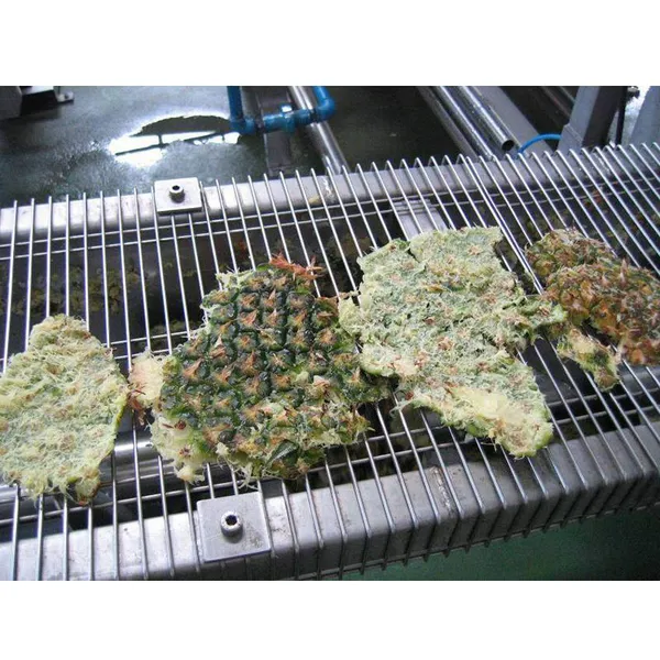 Pineapple Juice Making Plant Production Line photo-3