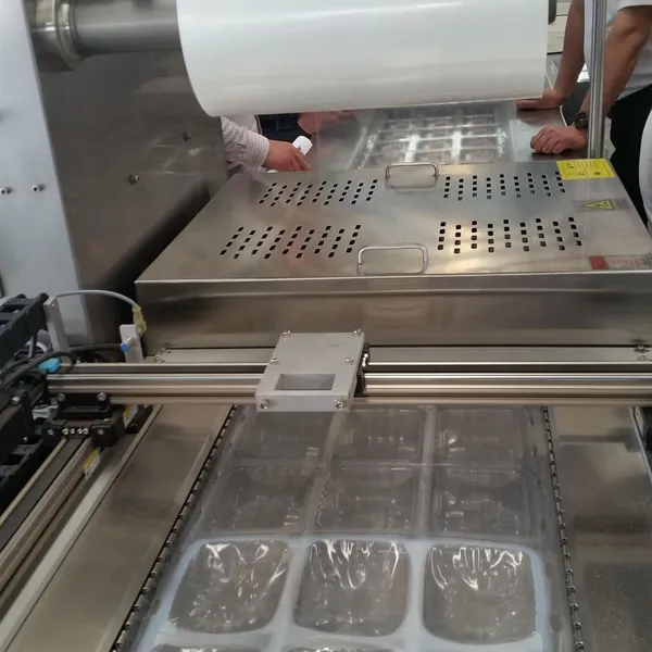 CE Approved Vacuum Packing Machine for Fruit and Vegetable,Meat,Fish,Rice,Tea Etc. photo-6