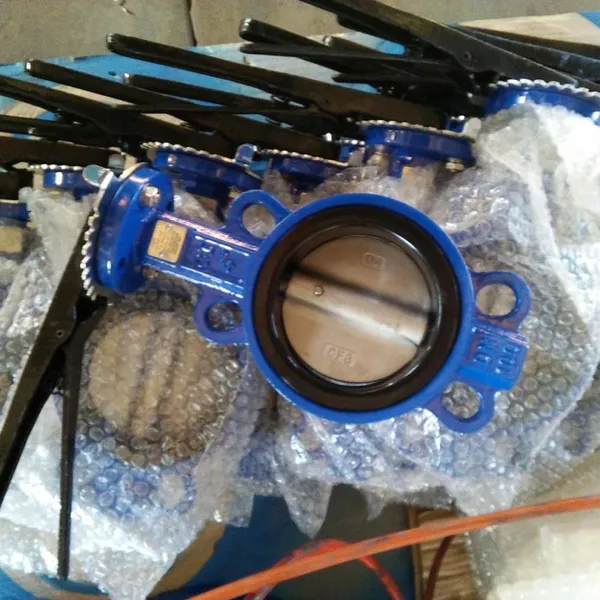 Resilient Seat Ductile Cast Iron Stainless Steel Aluminium Alloy Bronze Wafer Butterfly Valve Lug Double Flange Butterfly photo-4