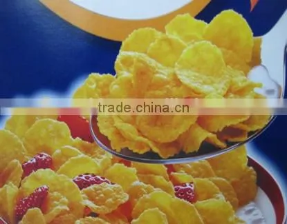 New Machine Crispy Nacho Corn Chips Production Line photo-4