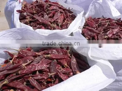 New Crops, Dry Sweet Paprika photo-6